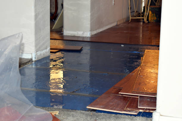 Professional Water Damage Restoration technician working in Marblemount, WA